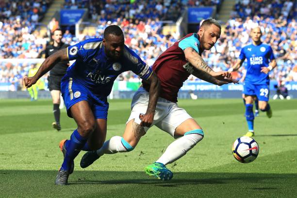 显示了网球 显示了网球