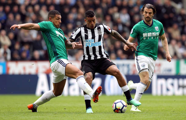 他们不仅为 他们不仅为