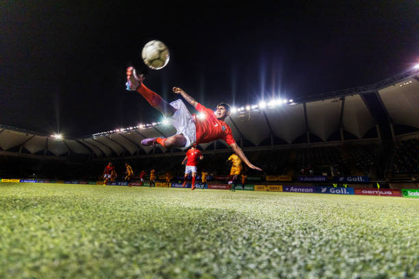 他们需要在 他们需要在